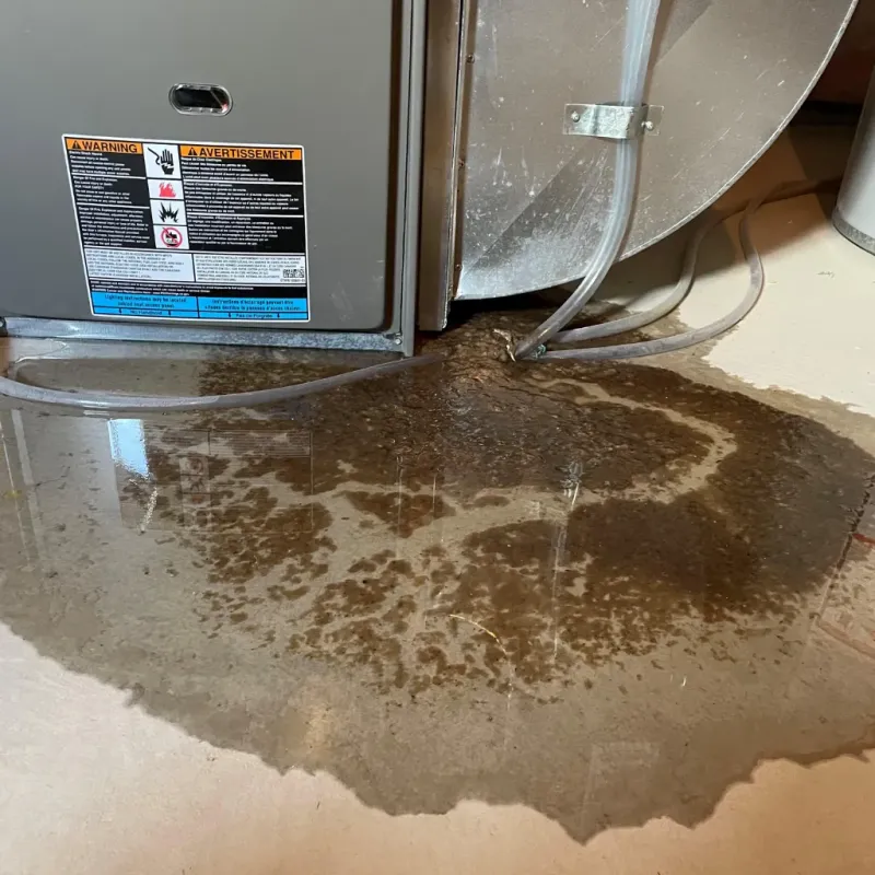 Appliance Leak Cleanup in Spruce Pine, NC